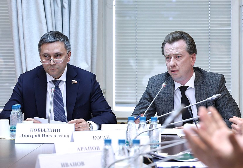 Председатель Комитета по экологии, природным ресурсам и охране окружающей среды Дмитрий Кобылкин и Первый заместитель Председателя Комитета Владимир Бурматов