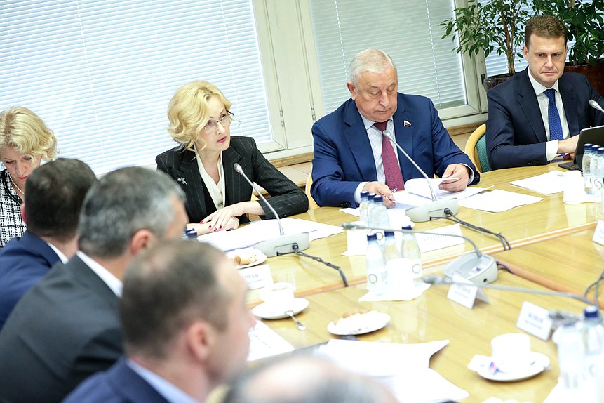 Заседание Комитета по развитию Дальнего Востока и Арктики