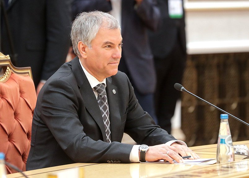 Председатель Государственной Думы Вячеслав Володин
