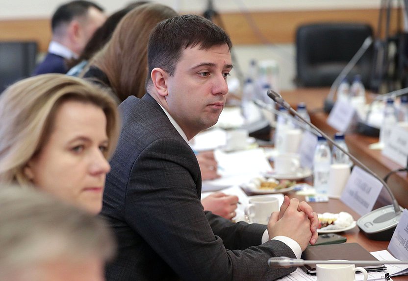 Заседание рабочей группы Комитета по вопросам семьи, женщин и детей