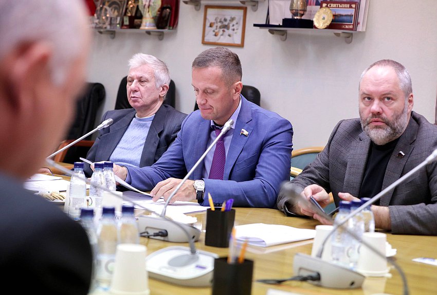 Заседание Комитета по развитию Дальнего Востока и Арктики