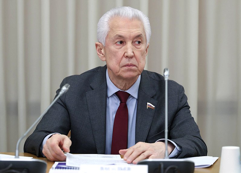 Руководитель фракции "Единая Россия" Владимир Васильев