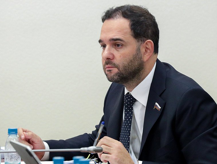 Первый заместитель Председателя Комитета по науке и высшему образованию Александр Мажуга