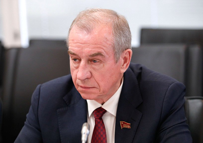 Первый заместитель Председателя Комитета по энергетике Сергей Левченко