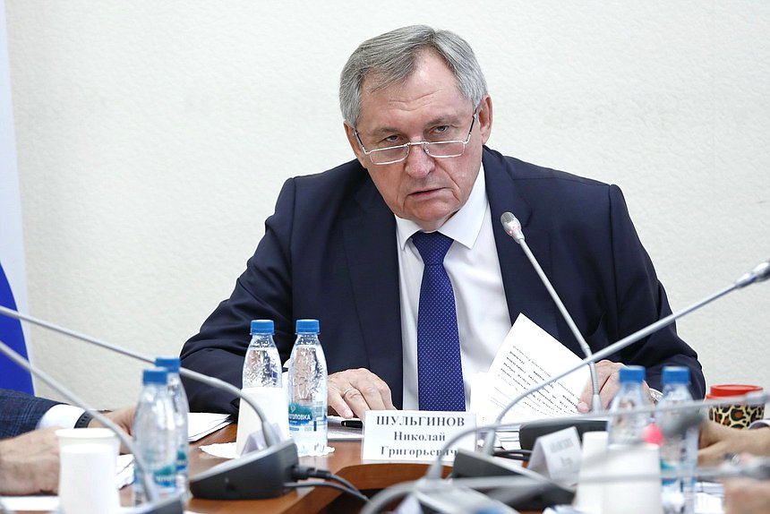 Председатель Комитета по энергетике Николай Шульгинов