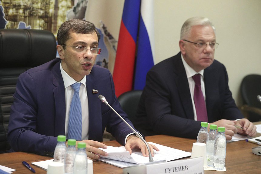 Первый заместитель Председателя Комитета по экономической политике, промышленности, инновационному развитию и предпринимательству Владимир Гутенев