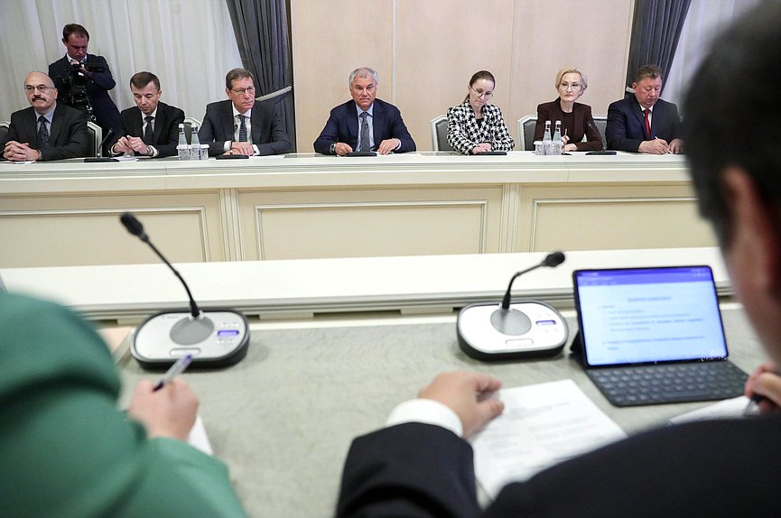 Meeting of Chairman of the State Duma Vyacheslav Volodin and Coordinating Minister for Economic Affairs of the Republic of Indonesia Airlangga Hartarto