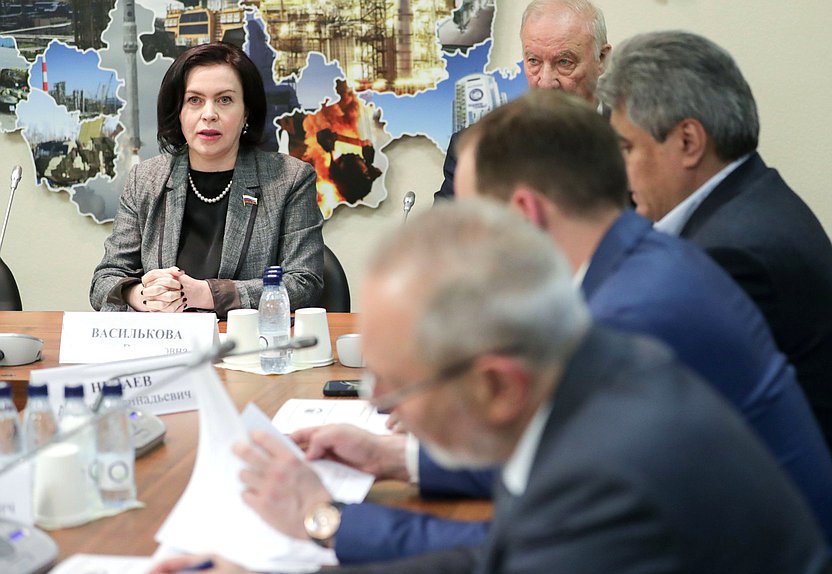 Член Комитета по промышленности и торговле Мария Василькова