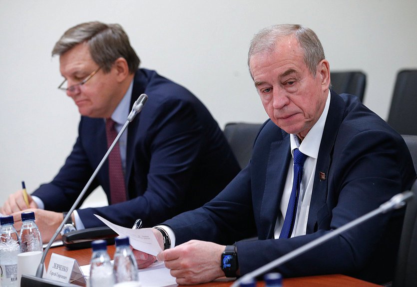 Первый заместитель Председателя Комитета по энергетике Сергей Левченко