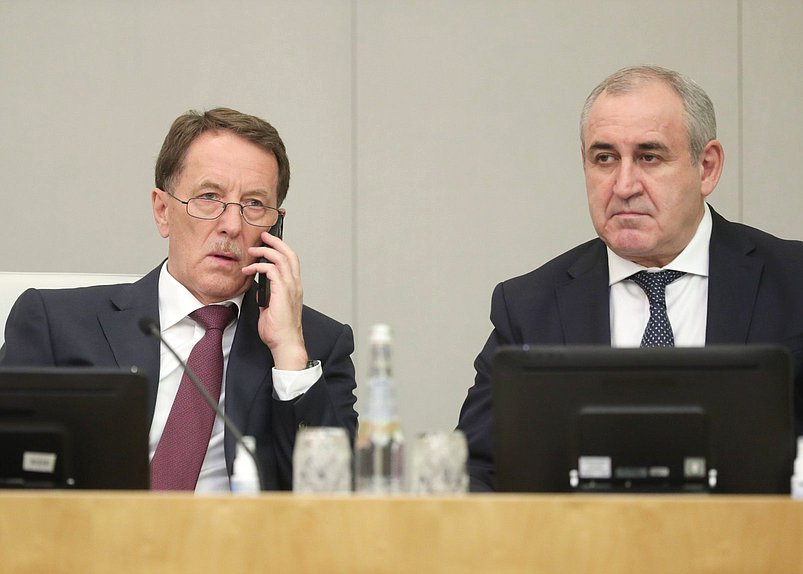 Заместители Председателя Государственной Думы Алексей Гордеев и Сергей Неверов