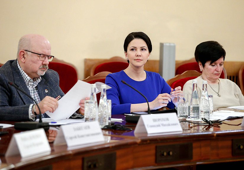 Заседание экспертного совета по вопросам совершенствования законодательства в социальной сфере при заместителе Председателя Государственной Думы Анне Кузнецовой