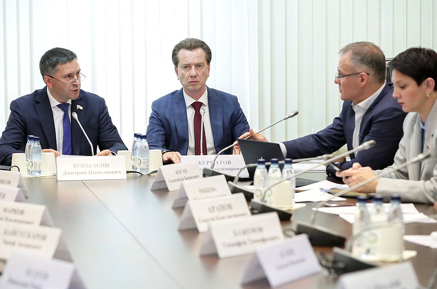 Председатель Комитета по экологии, природным ресурсам и охране окружающей среды Дмитрий Кобылкин и Первый заместитель Председателя Комитета Владимир Бурматов