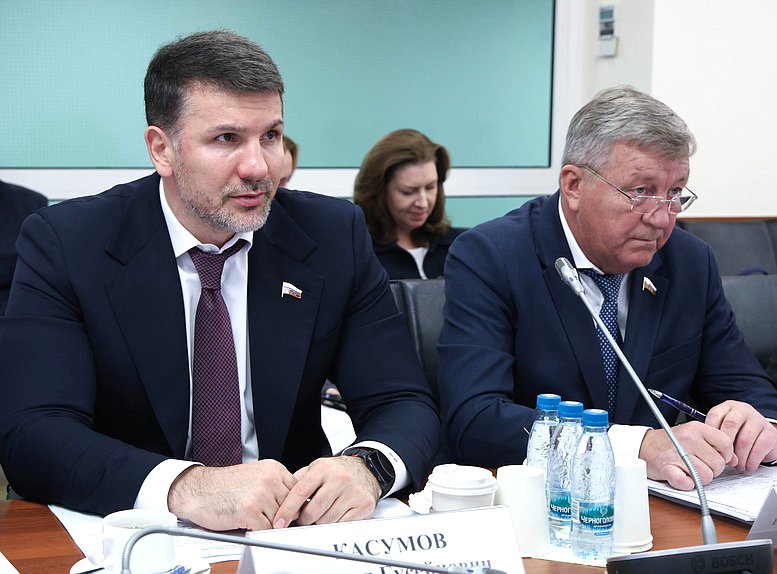 Члены Комитета по энергетике Джамал Касумов и Владимир Камеко