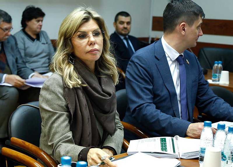 Рассмотрение проектов государственных программ на заседании Комитета по бюджету и налогам