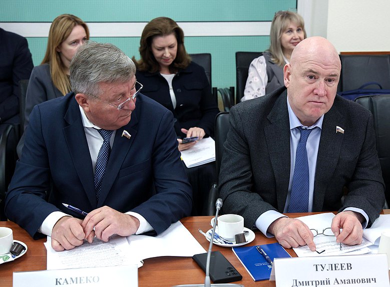 Член Комитета по энергетике Владимир Камеко и заместитель Председателя Комитета Дмитрий Тулеев
