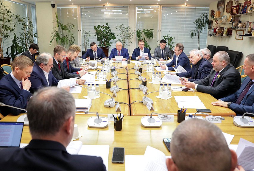 Заседание Комитета по развитию Дальнего Востока и Арктики