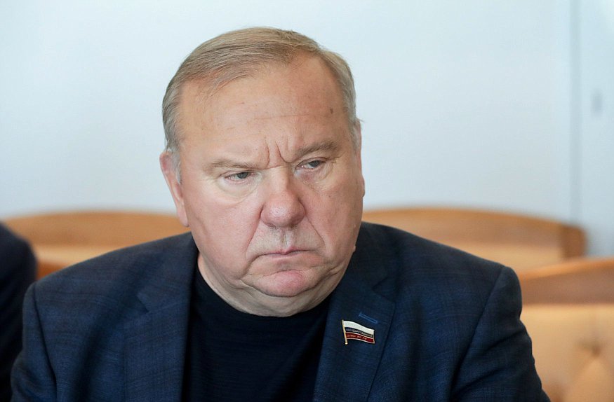 Заместитель Председателя Комитета по развитию гражданского общества, вопросам общественных и религиозных объединений Владимир Шаманов