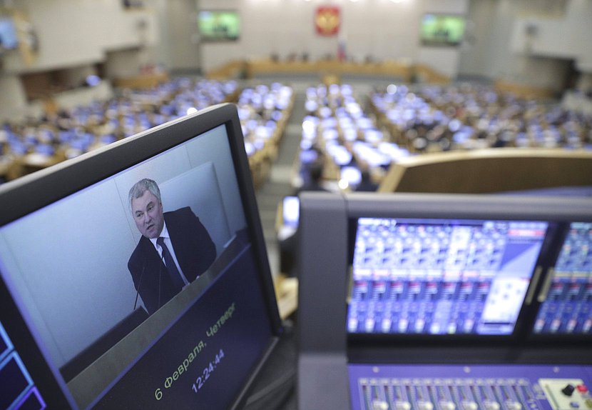 нейтральное пленарное Володин монитор