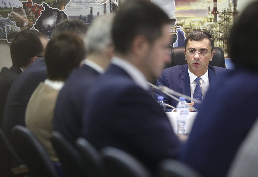 Первый заместитель Председателя Комитета по экономической политике, промышленности, инновационному развитию и предпринимательству Владимир Гутенев
