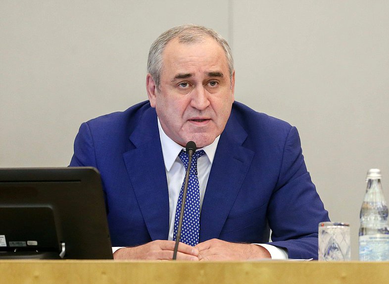 Заместитель Председателя Государственной Думы Сергей Неверов