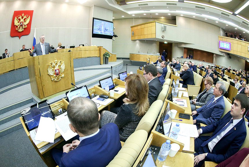 Пленарное заседание Жириновский