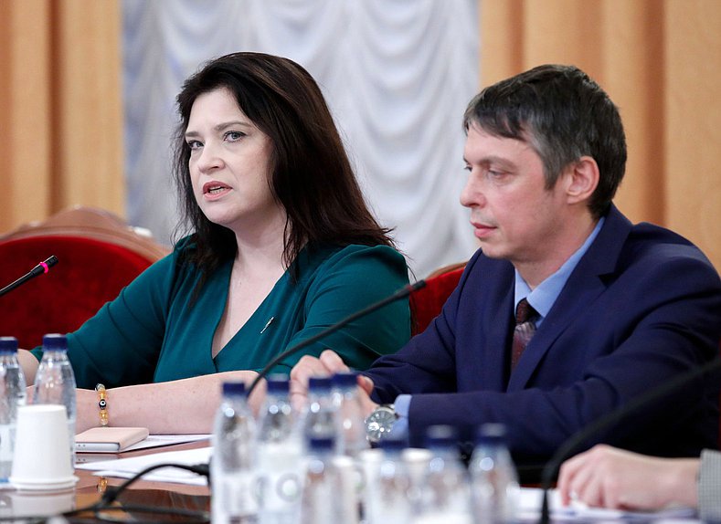 Заседание экспертного совета Комитета по вопросам семьи, женщин и детей