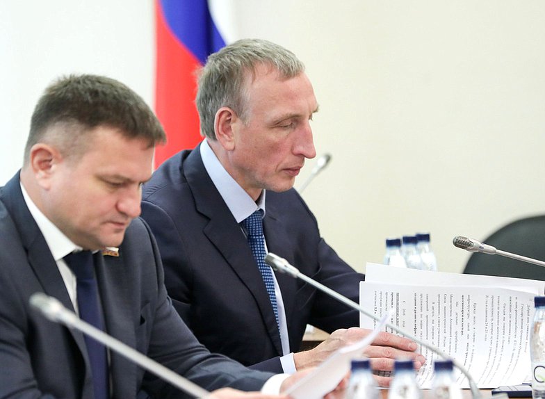 Первый заместитель Председателя Комитета по промышленности и торговле Александр Козловский