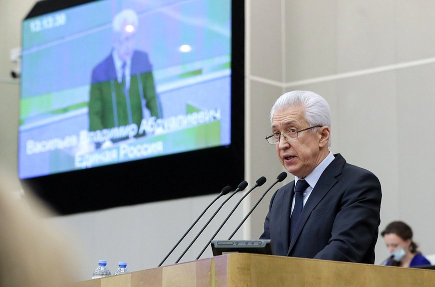 Руководитель фракции «Единая Россия» Владимир Васильев