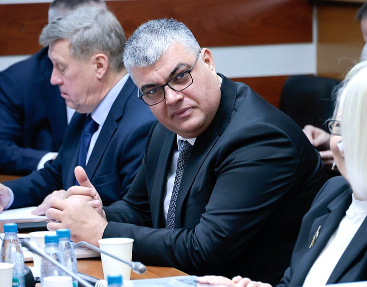Первый заместитель Председателя Комитета по бюджету и налогам Каплан Панеш