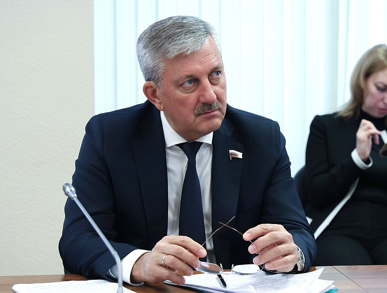 Член Комитета по экономической политике Владимир Марченко