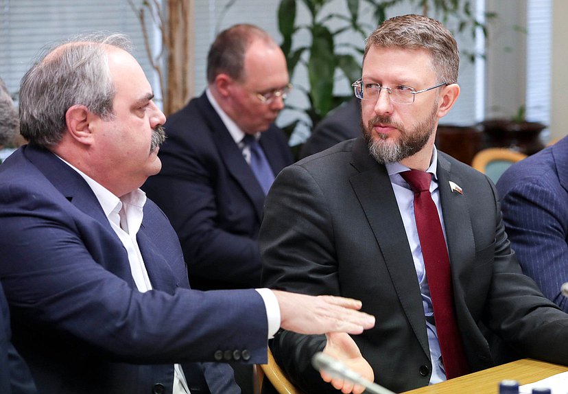 Члены Комитета по развитию Дальнего Востока и Арктики Алексей Веллер и Дмитрий Погорелый