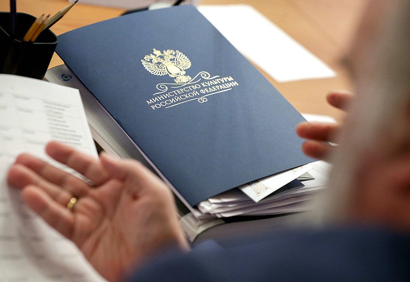 Круглый стол Комитета по культуре на тему «Художественное образование в Российской Федерации: проблемы и перспективы»