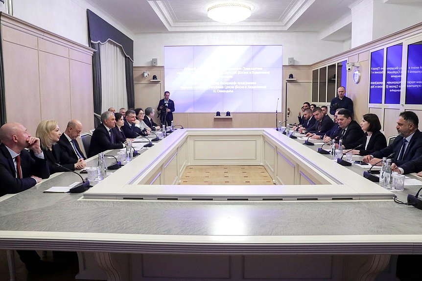 Meeting of Chairman of the State Duma Vyacheslav Volodin and Speaker of the National Assembly of Republika Srpska (Bosnia and Herzegovina) Nenad Stevandić