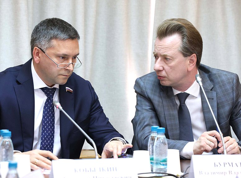 Председатель Комитета по экологии, природным ресурсам и охране окружающей среды Дмитрий Кобылкин и Первый заместитель Председателя Комитета Владимир Бурматов