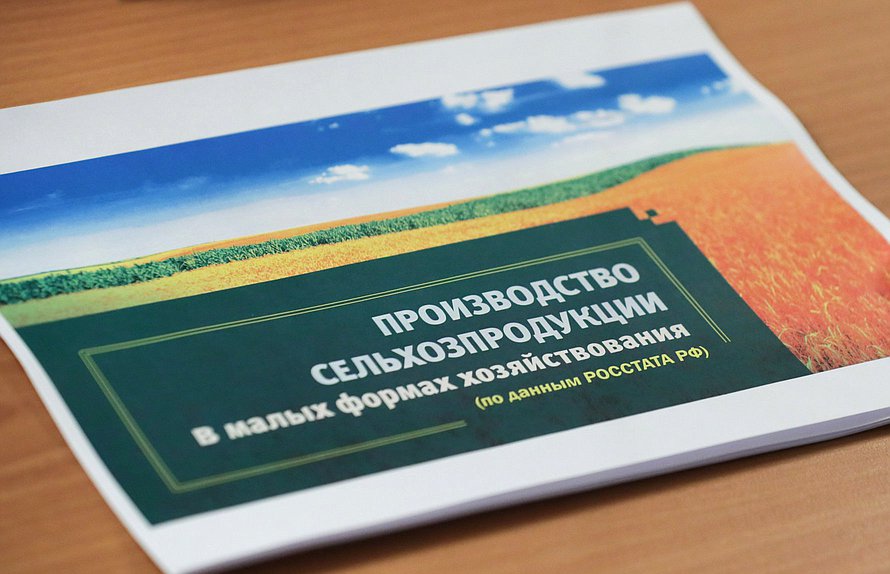 Круглый стол Комитета по аграрным вопросам на тему «Законодательное обеспечение развития малых форм хозяйствования»