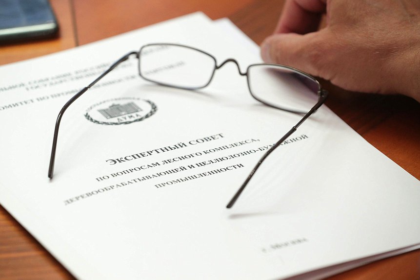 Рабочее совещание Экспертного совета по вопросам лесного комплекса, деревообрабатывающей и целлюлозно-бумажной промышленности при Комитете по промышленности и торговле