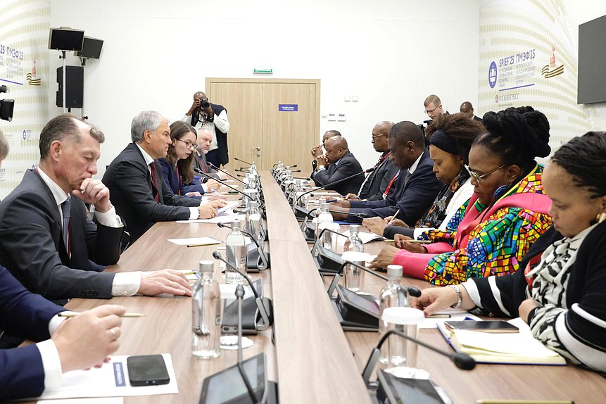 Meeting of Chairman of the State Duma Vyacheslav Volodin and Deputy President of the Republic of South Africa Paul Mashatile