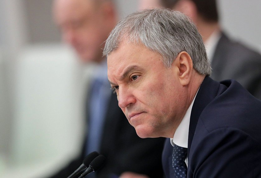 Председатель Государственной Думы Вячеслав Володин