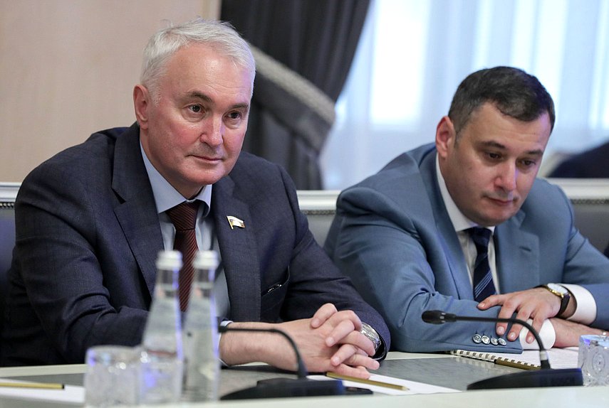 Председатель Комитета по обороне Андрей Картаполов и Председатель Комитета по информационной политике, информационным технологиям и связи Александр Хинштейн