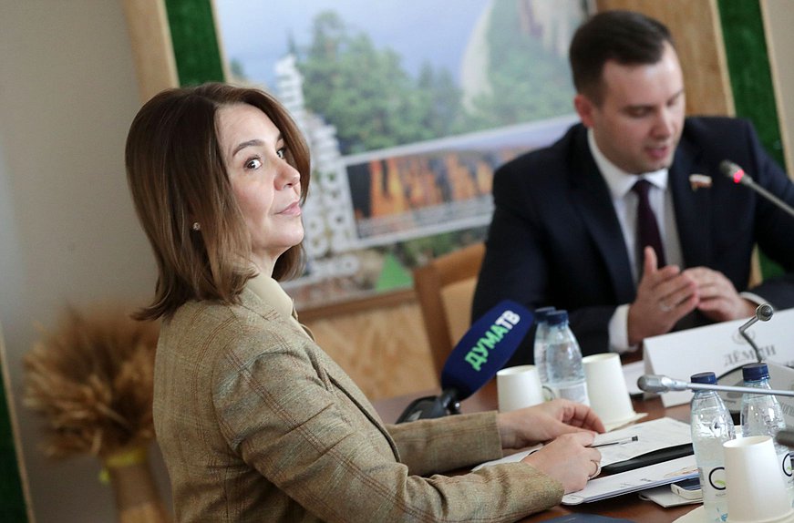 Первый заместитель Председателя Комитета по малому и среднему предпринимательству Альфия Когогина
