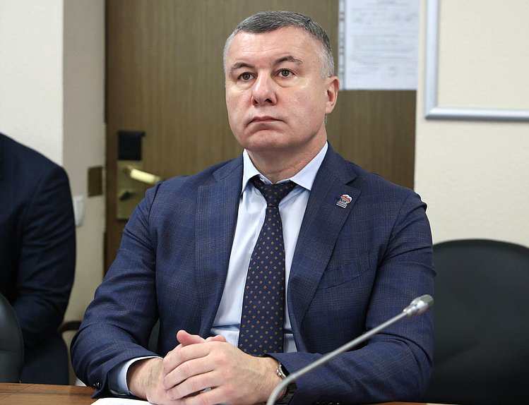Член Комитета по экономической политике Евгений Илле