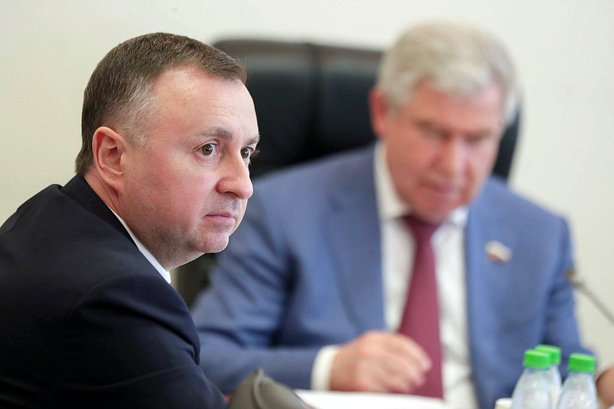 Заместитель Председателя Комитета по энергетике Николай Петрунин
