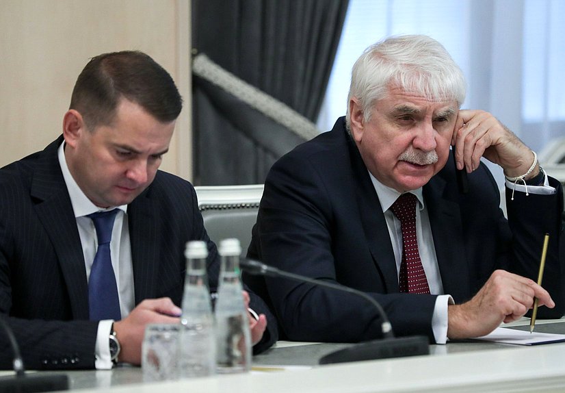 Председатель Комитета по труду, социальной политике и делам ветеранов Ярослав Нилов и Первый заместитель Председателя Комитета по международным делам Алексей Чепа