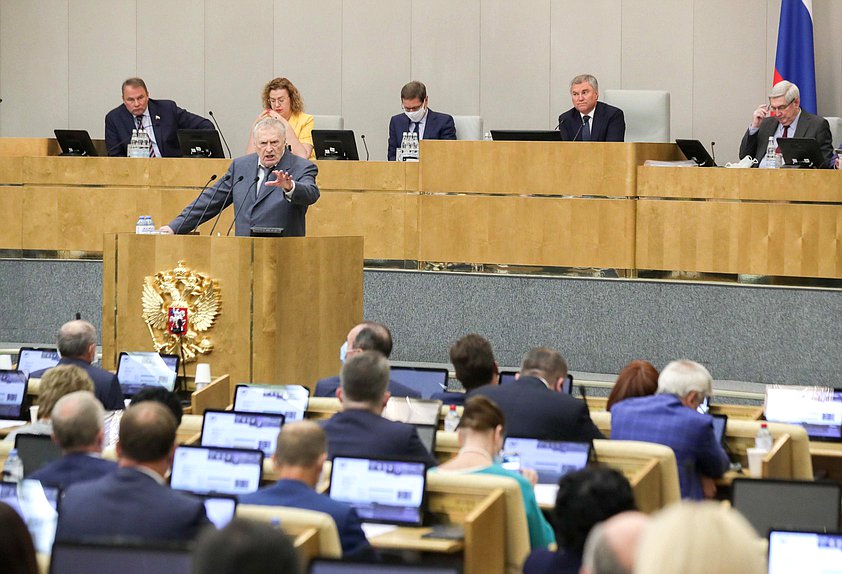 Руководитель фракции ЛДПР Владимир Жириновский