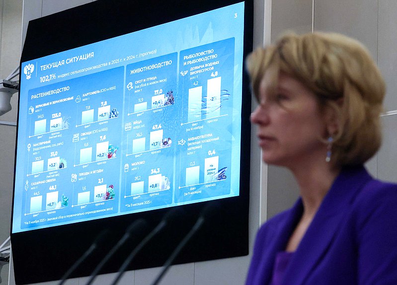 Пленарное заседание. "Правительственный час" (12.11.2025)