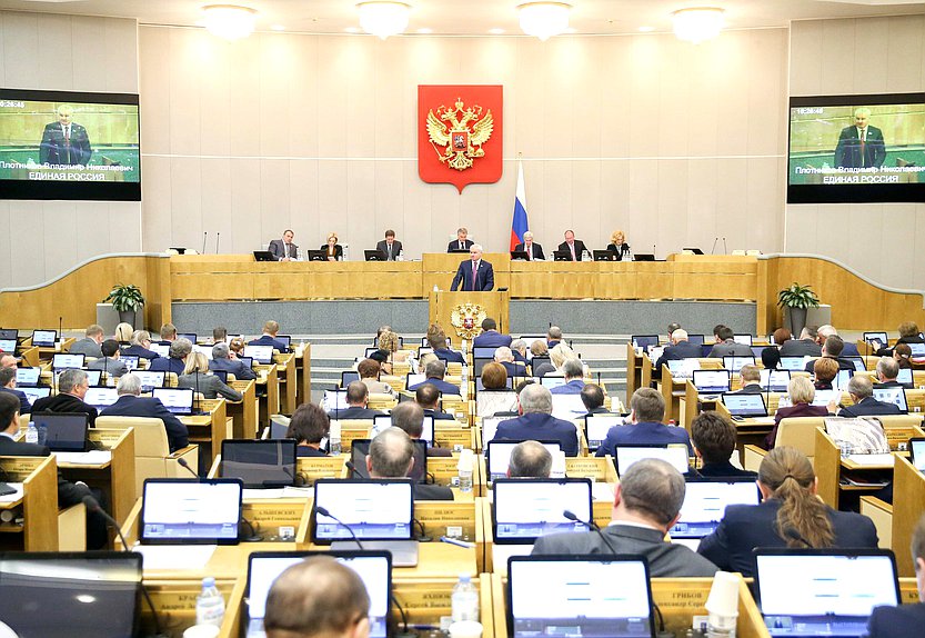 Пленарное заседание Плотников