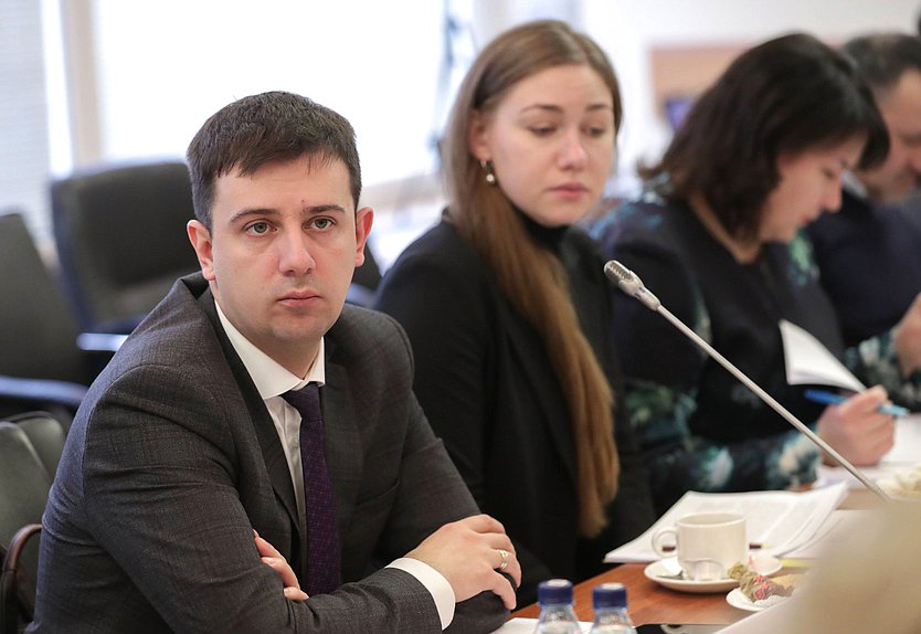 Заседание рабочей группы Комитета по вопросам семьи, женщин и детей