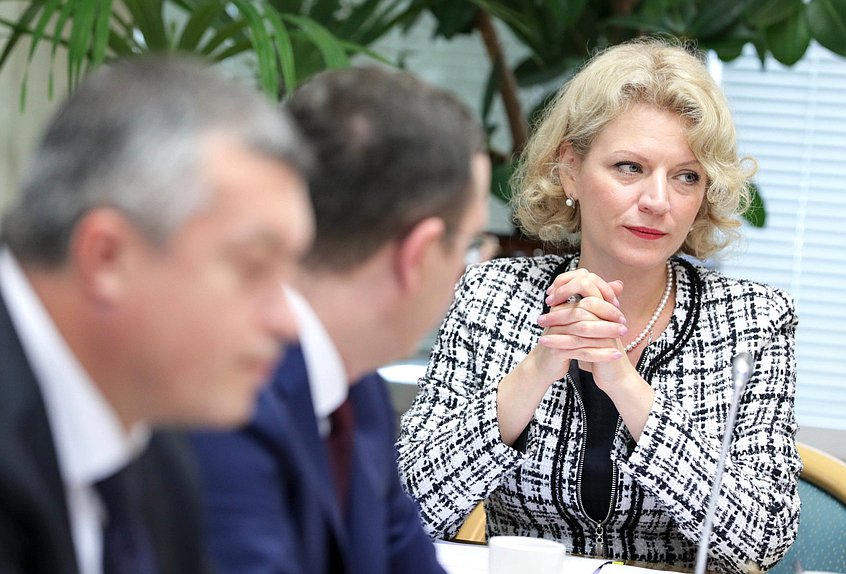 Заседание Комитета по развитию Дальнего Востока и Арктики