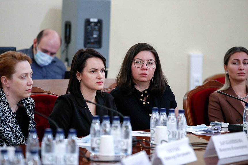 Заседание экспертного совета Комитета по вопросам семьи, женщин и детей