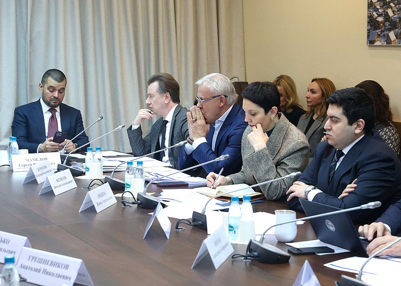 Заседание Комитета по экологии, природным ресурсам и охране окружающей среды с участием Министра природных ресурсов и экологии РФ Александра Козлова